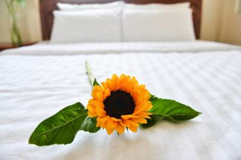 Vien Dong 2 Motel Đà Nẵng Extérieur photo